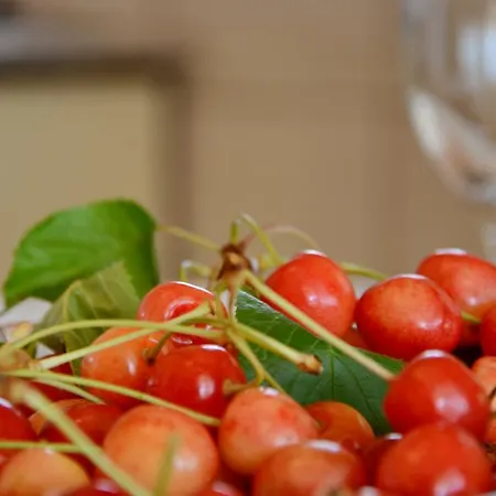 Silvana Sunset View Διαμέρισμα *