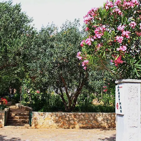 Silvana Sunset View * ザダル