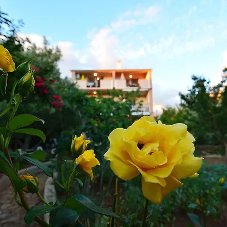 Silvana Sunset View Ζαντάρ