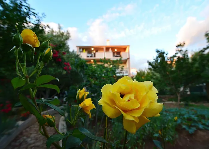 Silvana Sunset View Zadar